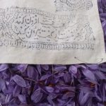 گل زعفران-یک کیلو-فروش فقط آبان و آذر